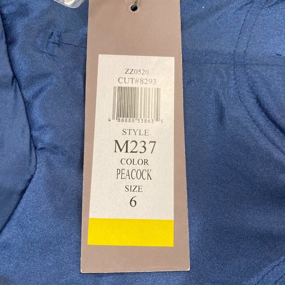 Marsoni By Colors Sheer Sleeve Embroidered Lace Bodice Gown Blue Size 6 NWT - Picture 5 of 6